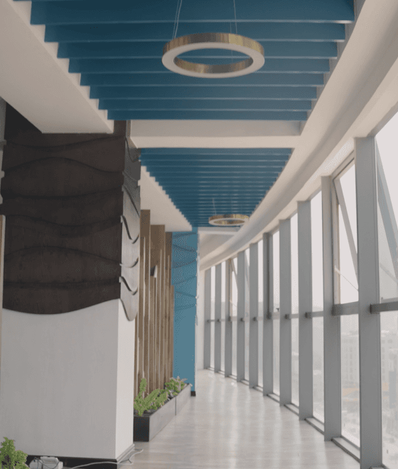 OUR NATURAL HABITAT: THE DAILY SPARK